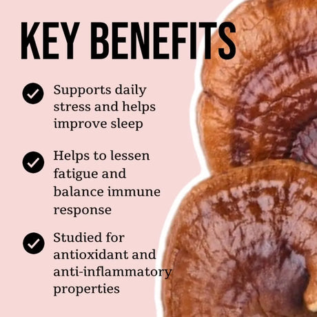 NORTH SPORE - North Spore Organic Reishi Mushroom Tincture 2 Fl.Oz. - The Red Vitamin MX - Suplementos Alimenticios - {{ shop.shopifyCountryName }}
