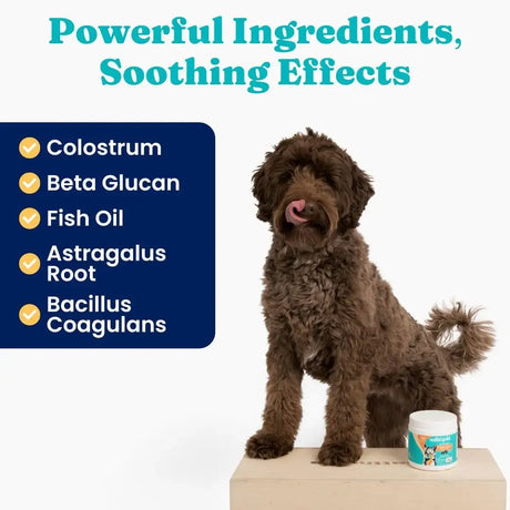 SOLID GOLD - Solid Gold Dog Allergy Relief Chews 120 Masticables - The Red Vitamin MX - Remedios Para La Picazón De Perros - {{ shop.shopifyCountryName }}