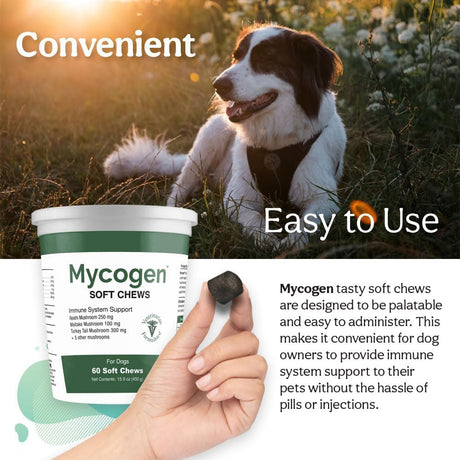 PET HEALTH SOLUTIONS - Pet Health Solutions Mycogen for Dogs Vitamins with 8 Types of Mushrooms 60 Masticables 2 Pack - The Red Vitamin MX - Suplementos Herbales Para Perros - {{ shop.shopifyCountryName }}