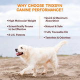 TRIXSYN - TRIXSYN Canine Performance Dog Hip & Joint Supplement 6 Fl.Oz. - The Red Vitamin MX - Cuidado De Cadera Y Articulaciones Para Perros - {{ shop.shopifyCountryName }}