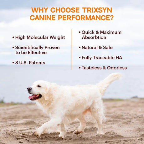 TRIXSYN - TRIXSYN Canine Performance Dog Hip & Joint Supplement 6 Fl.Oz. - The Red Vitamin MX - Cuidado De Cadera Y Articulaciones Para Perros - {{ shop.shopifyCountryName }}