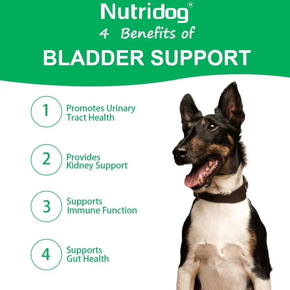 NUTRIDOG - Nutridog Cranberry Supplement for Dogs 120 Masticables - The Red Vitamin MX - Salud De Tracto Urinario Para Perros - {{ shop.shopifyCountryName }}