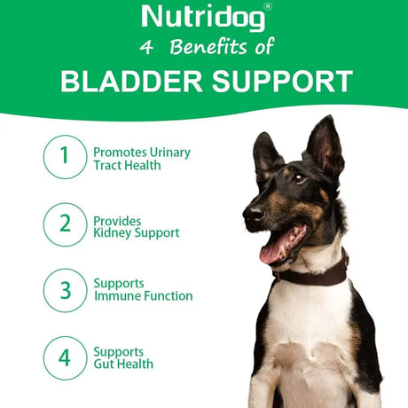 NUTRIDOG - Nutridog Cranberry Supplement for Dogs 120 Masticables - The Red Vitamin MX - Salud De Tracto Urinario Para Perros - {{ shop.shopifyCountryName }}
