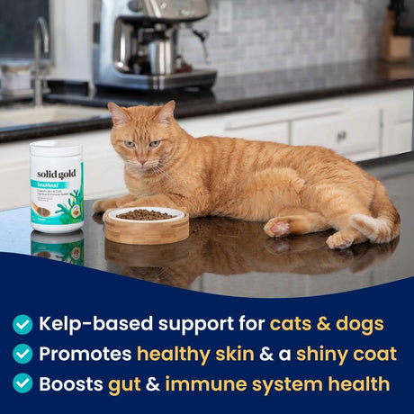 SOLID GOLD - Solid Gold SeaMeal Multivitamin Powder 454Gr. - The Red Vitamin MX - Multivitamínicos Para Perros - {{ shop.shopifyCountryName }}