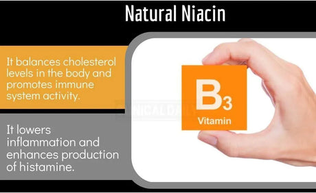 CLINICAL DAILY - Clinical Daily Blood Circulation 90 Capsulas - The Red Vitamin MX - Suplementos Alimenticios - {{ shop.shopifyCountryName }}