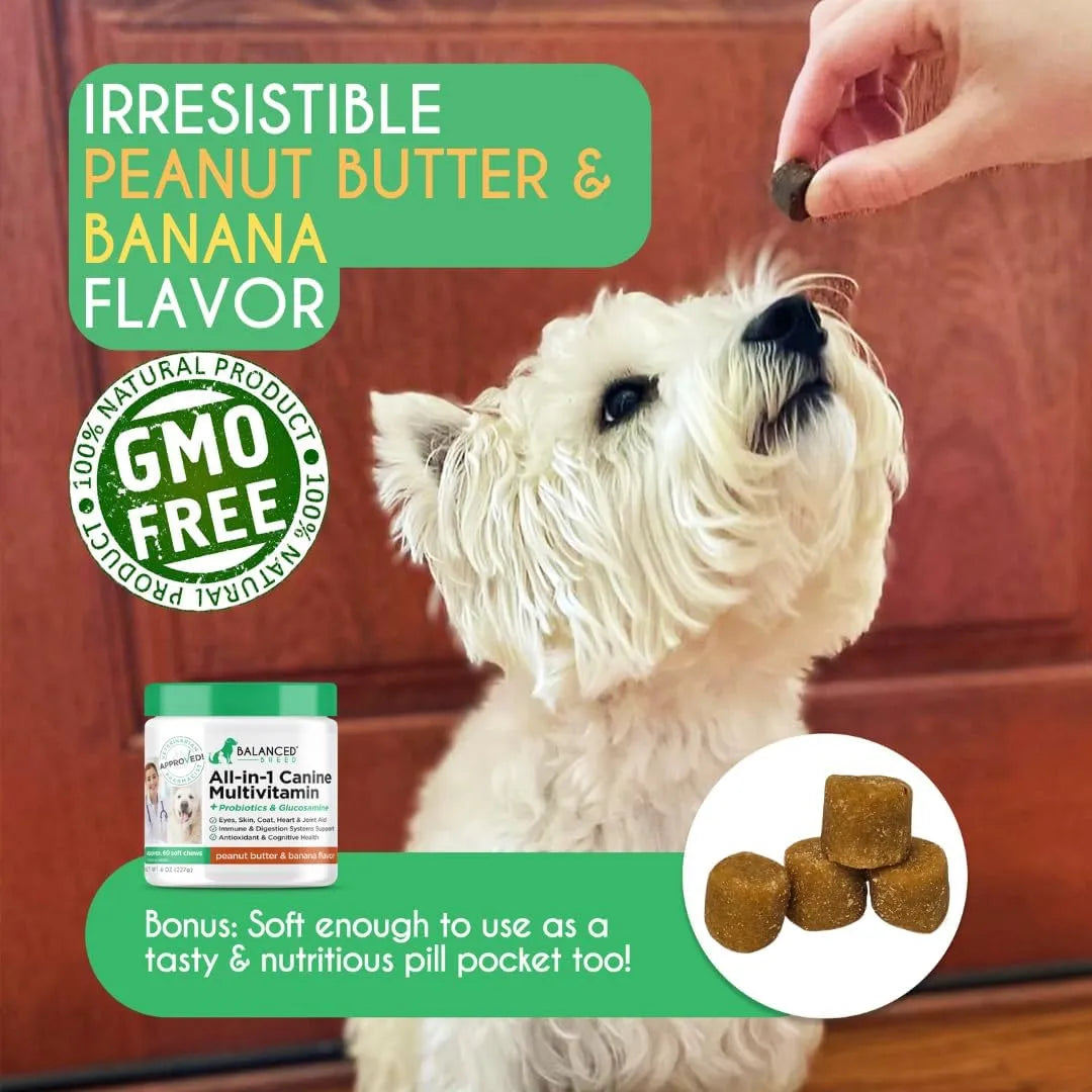 BALANCED BREED - Balanced Breed All-in-1 Dog Vitamins 60 Masticables - The Red Vitamin MX - Multivitamínicos Para Perros - {{ shop.shopifyCountryName }}