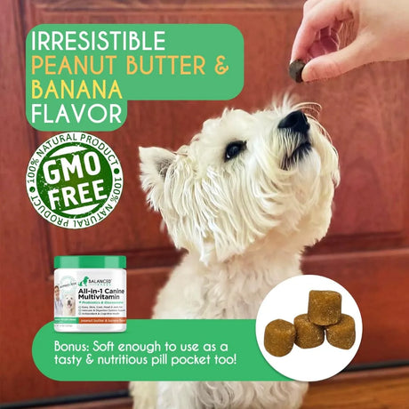 BALANCED BREED - Balanced Breed All-in-1 Dog Vitamins 60 Masticables - The Red Vitamin MX - Multivitamínicos Para Perros - {{ shop.shopifyCountryName }}