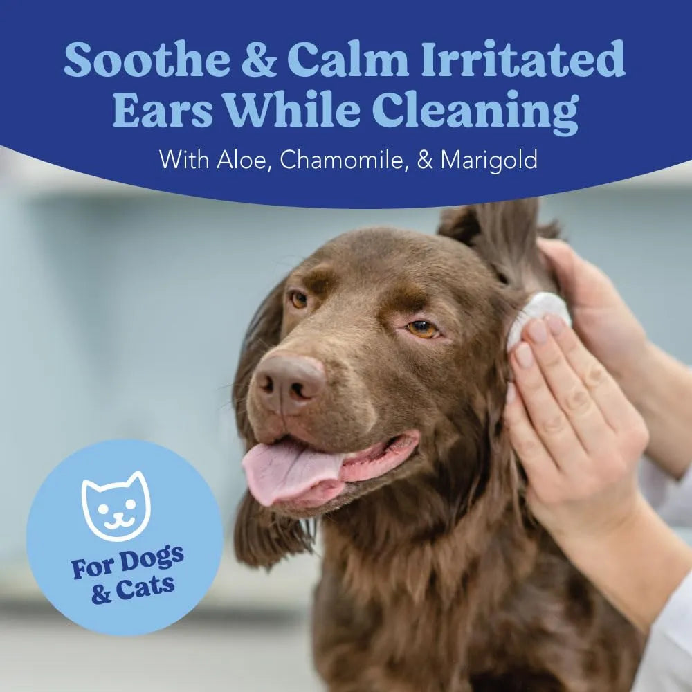 ANGELS' EYES - ANGELS' EYES Ear Cleansing Wipes for Dogs & Cats 100 Toallitas - The Red Vitamin MX - Cuidado Del Oído De Perros - {{ shop.shopifyCountryName }}