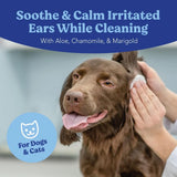ANGELS' EYES - ANGELS' EYES Ear Cleansing Wipes for Dogs & Cats 100 Toallitas - The Red Vitamin MX - Cuidado Del Oído De Perros - {{ shop.shopifyCountryName }}