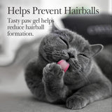 Nutri-Vet Hairball Paw Gel Chicken Flavor 3 Oz.