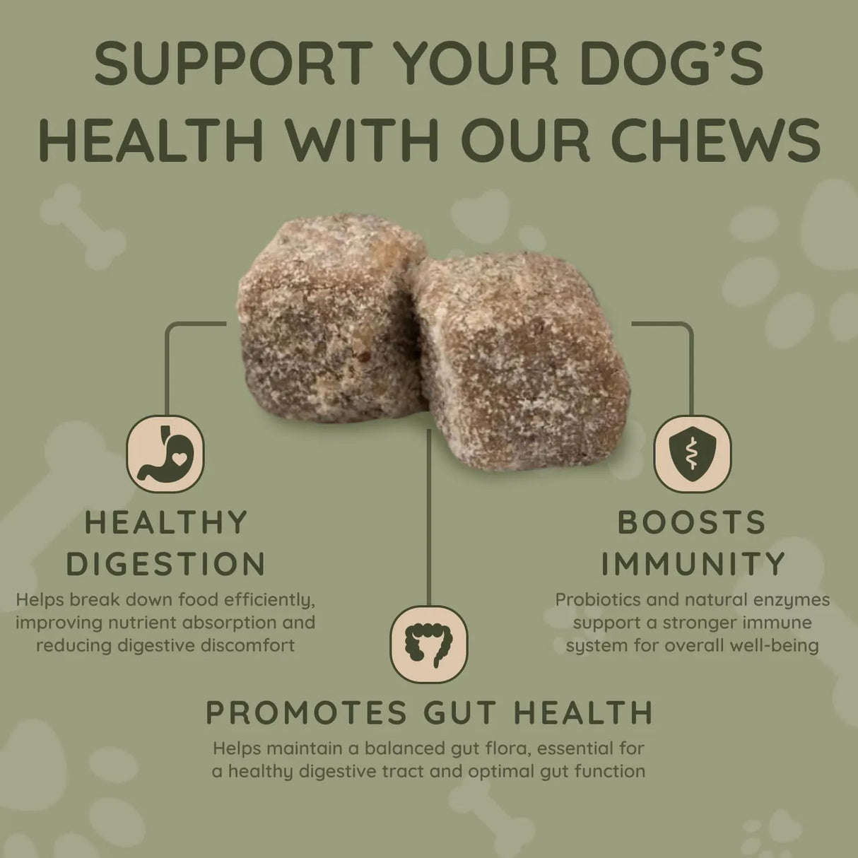 ASHER HOUSE WELLNESS - ASHER HOUSE WELLNESS Probiotics Digestive Chew for Dogs 120 Masticables - The Red Vitamin MX - Probióticos Para Perros - {{ shop.shopifyCountryName }}