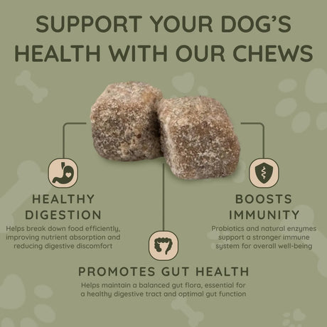 ASHER HOUSE WELLNESS - ASHER HOUSE WELLNESS Probiotics Digestive Chew for Dogs 120 Masticables - The Red Vitamin MX - Probióticos Para Perros - {{ shop.shopifyCountryName }}