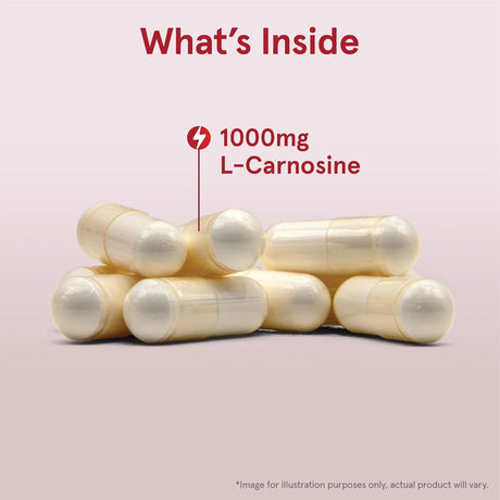 JARROW FORMULAS - Jarrow Formulas L-Carnosine 1000Mg. 90 Capsulas - The Red Vitamin MX - Suplementos Alimenticios - {{ shop.shopifyCountryName }}