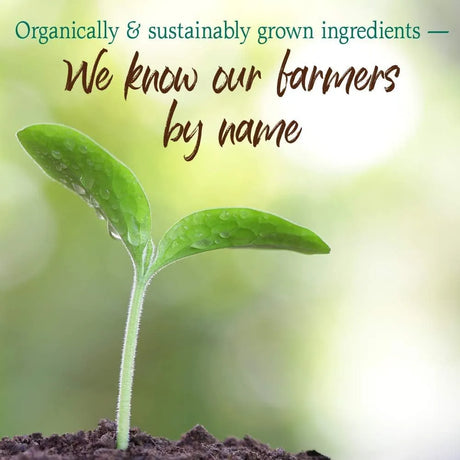 GARDEN OF LIFE - Garden of Life Raw Organic Perfect Food Green Superfood Juiced Greens Powder 30 Servicios Chocolate 285Gr. - The Red Vitamin MX - Suplementos Alimenticios - {{ shop.shopifyCountryName }}