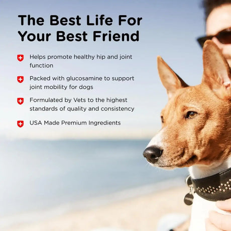NUTRI-VET - Nutri-Vet Hip & Joint Chewable Dog Regular Strength 75 Tabletas Masticables - The Red Vitamin MX - Cuidado De Cadera Y Articulaciones Para Perros - {{ shop.shopifyCountryName }}
