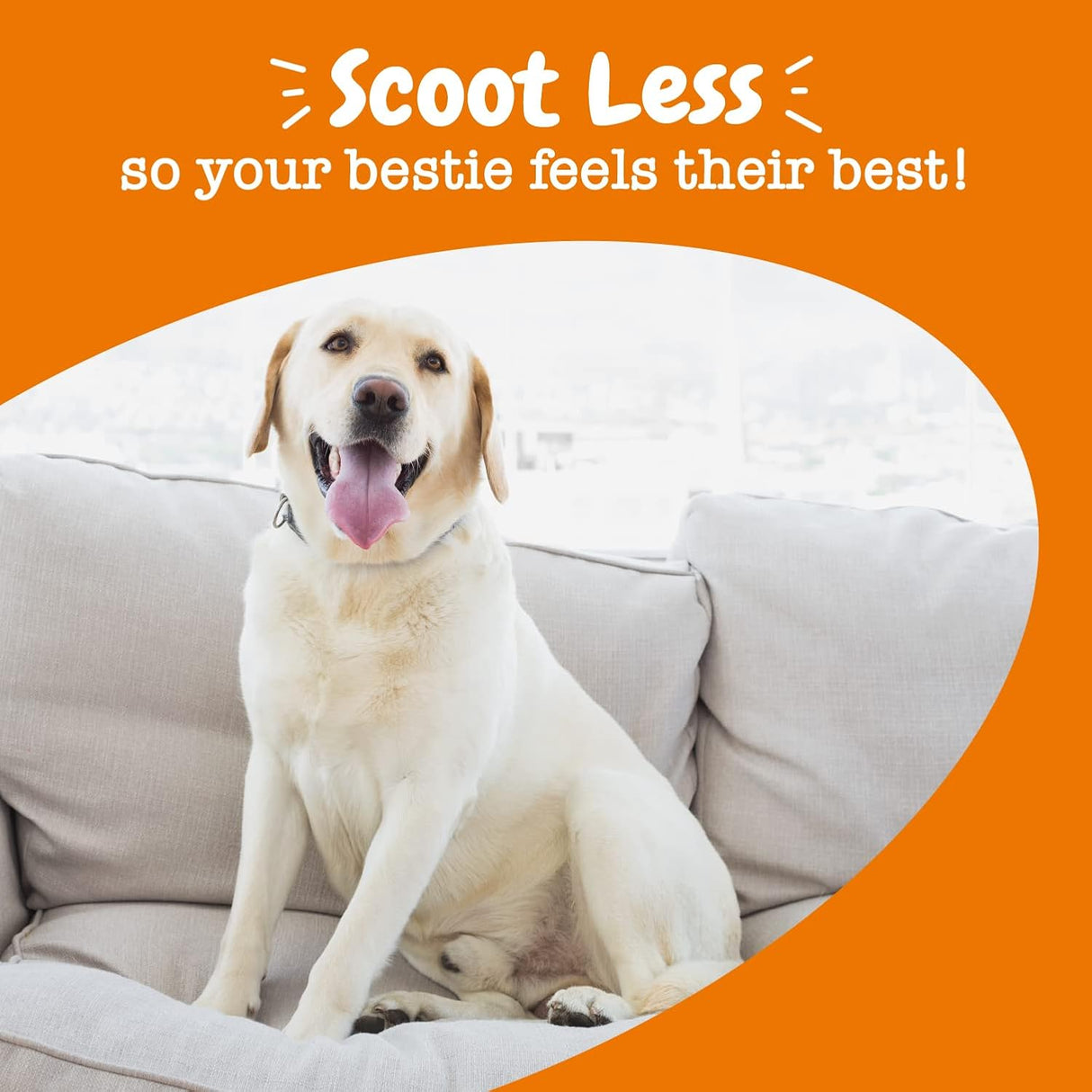 Zesty Paws Scoot Away Soft Chews 90 Masticables