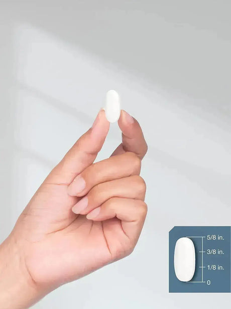 HORBAACH - Horbaach Magnesium 500Mg. 180 Tabletas - The Red Vitamin MX - Suplementos Alimenticios - {{ shop.shopifyCountryName }}