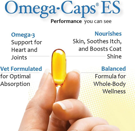 PET HEALTH SOLUTIONS - Pet Health Solutions Omega-Caps Extra Strength for Large Breeds 60 Capsulas Blandas - The Red Vitamin MX - Aceite De Pescado Para Perros - {{ shop.shopifyCountryName }}