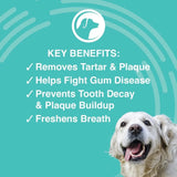 NOOTIE - Nootie Medicated Dental Gel for Dogs 4 Oz. - The Red Vitamin MX - Cuidado Dental Para Perros - {{ shop.shopifyCountryName }}