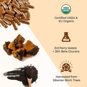 ROOTED - ROOTED Actives Siberian Chaga Mushroom Extract 60 Capsulas - The Red Vitamin MX - Suplementos Alimenticios - {{ shop.shopifyCountryName }}