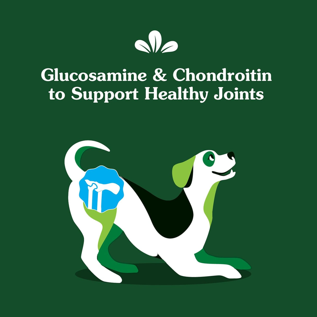 Greenies Supplements Hip and Joint Supplements for Dogs Chicken Flavor 30 Masticables