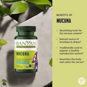 BANYAN - Banyan Botanicals Mucuna Pruriens 90 Tabletas - The Red Vitamin MX - Suplementos Alimenticios - {{ shop.shopifyCountryName }}