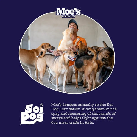 MOE'S - Moe’s 5-in-1 Essential Dog Multivitamin Chicken Flavored Chews 90 Masticables - The Red Vitamin MX - Multivitamínicos Para Perros - {{ shop.shopifyCountryName }}
