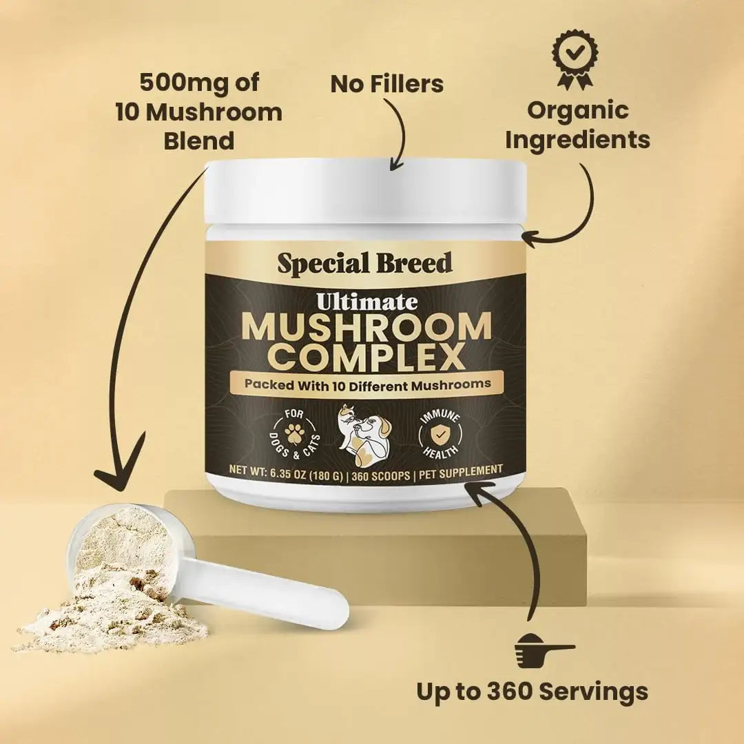 SPECIAL BREED - Special Breed Mushroom Powder for Dogs & Cats 360 Servicios 180Gr. - The Red Vitamin MX - Suplementos Herbales Para Perros - {{ shop.shopifyCountryName }}