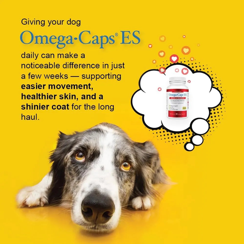 PET HEALTH SOLUTIONS - Pet Health Solutions Omega-Caps Extra Strength for Large Breeds 60 Capsulas Blandas - The Red Vitamin MX - Aceite De Pescado Para Perros - {{ shop.shopifyCountryName }}
