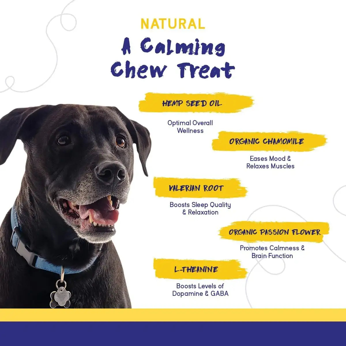 PUPGRADE - PupGrade Calming Soft Chews 60 Masticables 3 Pack - The Red Vitamin MX - Relajantes Para Perros - {{ shop.shopifyCountryName }}