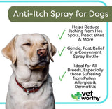 Vet Worthy Anti-Itch Spray for Dogs 8 Fl.Oz.