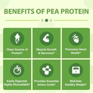 ZAMMEX - Zammex Organic Pea Protein Powder Natural Flavor 1,190Gr. - The Red Vitamin MX - Suplementos Alimenticios - {{ shop.shopifyCountryName }}