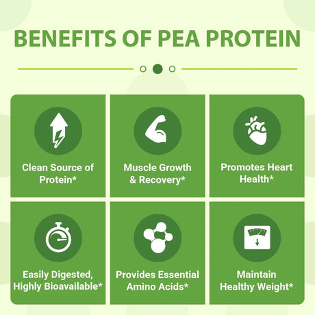 ZAMMEX - Zammex Organic Pea Protein Powder Natural Flavor 1,190Gr. - The Red Vitamin MX - Suplementos Alimenticios - {{ shop.shopifyCountryName }}