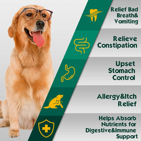 PETRIMINS - PetriMins Advanced Probiotic for Dogs Chicken Flavor 90 Masticables - The Red Vitamin MX - Probióticos Para Perros - {{ shop.shopifyCountryName }}