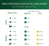 OCU-GLO - Ocu-GLO Cat & Dog Senior Supplement for Eye Support 60 Masticables - The Red Vitamin MX - Cuidado De Los Ojos De Los Perros - {{ shop.shopifyCountryName }}