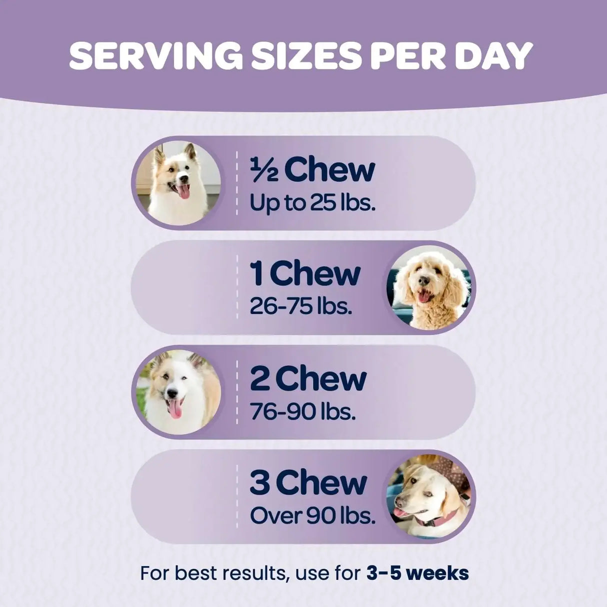 READY PET GO - Ready Pet Go! Calming & Relaxing Chews for Dogs 90 Masticables - The Red Vitamin MX - Relajantes Para Perros - {{ shop.shopifyCountryName }}