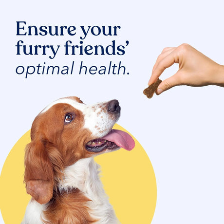 HONEST PAWS - Honest Paws Dog Multivitamin Soft Chews Beef Flavor 90 Masticables - The Red Vitamin MX - Multivitamínicos Para Perros - {{ shop.shopifyCountryName }}