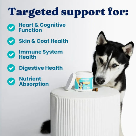 The Red Vitamin MX - Solid Gold Dog Multivitamin Bacon Flavor 120 Masticables - The Red Vitamin MX - SOLID GOLD - {{ shop.shopifyCountryName }}