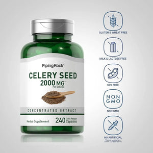 PIPING ROCK - Piping Rock Celery Seed Extract 2000Mg. 240 Capsulas - The Red Vitamin MX - Suplementos Alimenticios - {{ shop.shopifyCountryName }}