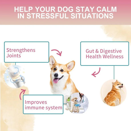 NUTRIDOG - Nutridog Multivitamin Chews for Dogs 30 Masticables - The Red Vitamin MX - Multivitamínicos Para Perros - {{ shop.shopifyCountryName }}