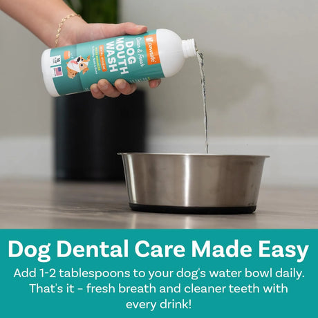 PAWSAFE - PawSafe Dog Mouthwash Dental Water Additive 473Ml. - The Red Vitamin MX - Cuidado Dental Para Perros - {{ shop.shopifyCountryName }}