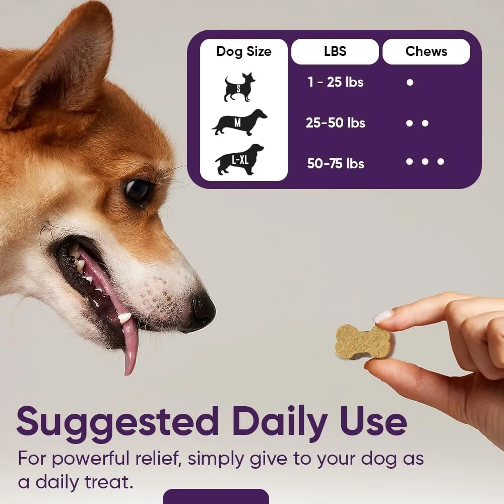 IHEARTDOGS - iHeartDogs 3-in-1 Probiotic for Dogs 90 Masticables - The Red Vitamin MX - Probióticos Para Perros - {{ shop.shopifyCountryName }}