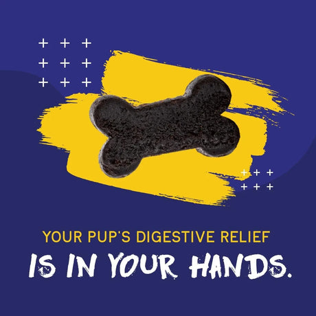 PUPGRADE - PupGrade Digestive Support Chews for Dogs Prebiotic and Probiotic 60 Masticables - The Red Vitamin MX - Probióticos Para Perros - {{ shop.shopifyCountryName }}
