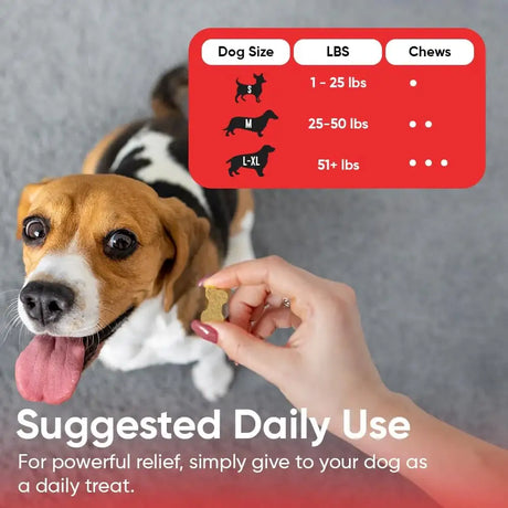 IHEARTDOGS - iHeartDogs Allergy & Itch Relief for Dogs 90 Masticables - The Red Vitamin MX - Remedios Para La Picazón De Perros - {{ shop.shopifyCountryName }}