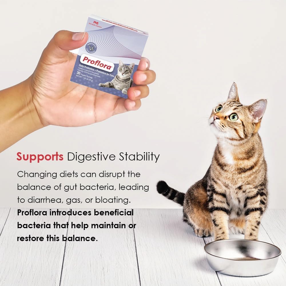 Proflora Probiotics for Cats-Complete Gut Health & Immune Support 30 Paquetes