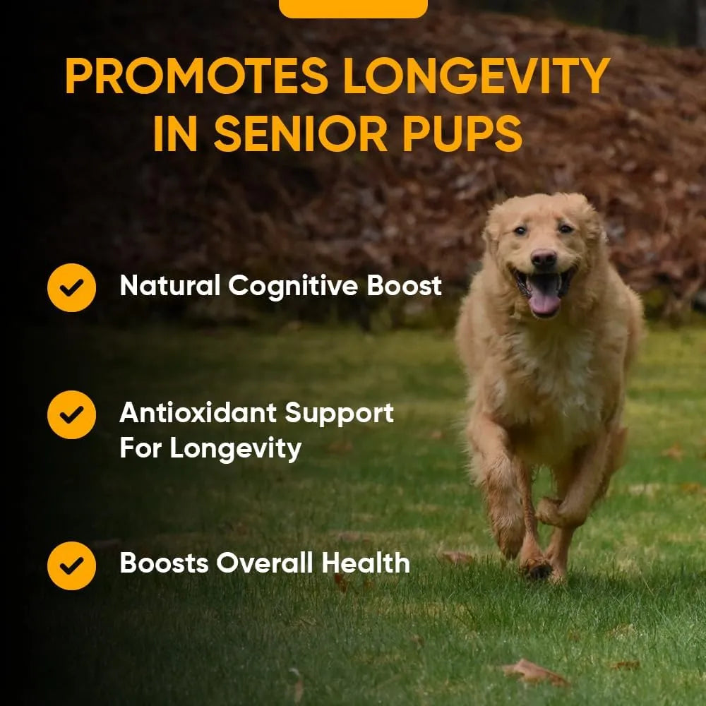 IHEARTDOGS - iHeartDogs Senior Super 7 Daily Dog Multivitamin 60 Masticables - The Red Vitamin MX - Multivitamínicos Para Perros - {{ shop.shopifyCountryName }}