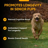 IHEARTDOGS - iHeartDogs Senior Super 7 Daily Dog Multivitamin 60 Masticables - The Red Vitamin MX - Multivitamínicos Para Perros - {{ shop.shopifyCountryName }}