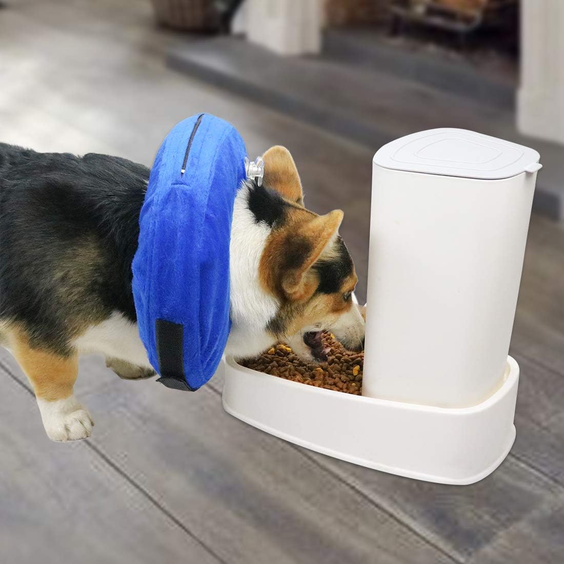 MCHY Adjustable Recovery Collar for Dogs SMALL BLUE