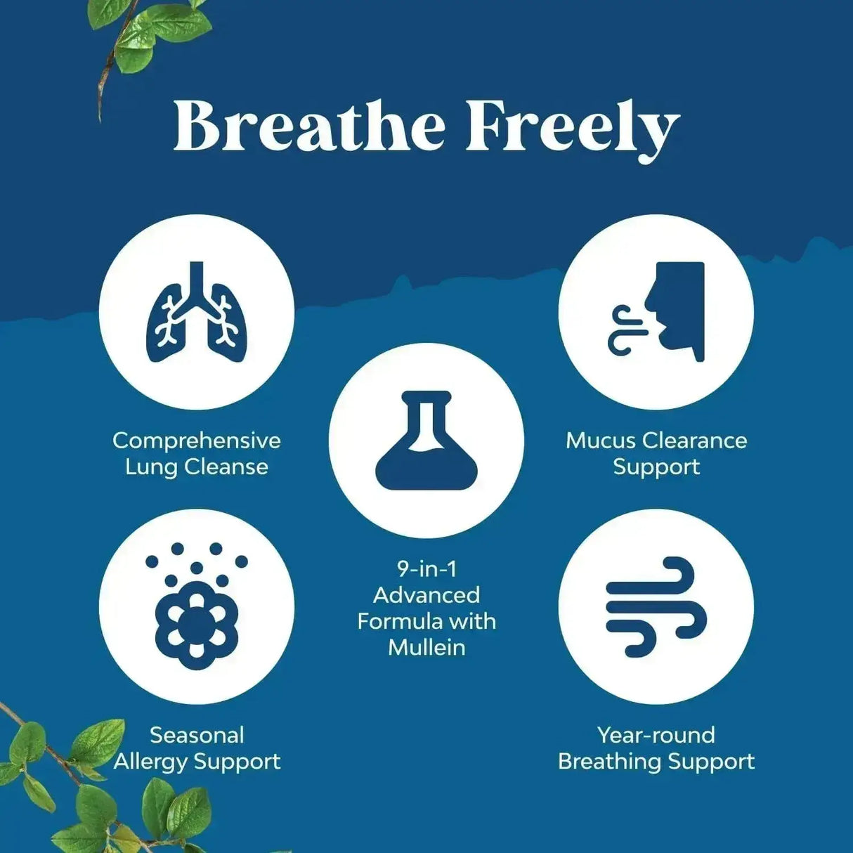 NATURES CRAFT - Natures Craft Lung Detox Mullein Leaf 30 Capsulas - The Red Vitamin MX - Suplementos Alimenticios - {{ shop.shopifyCountryName }}
