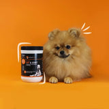 POINTPET - PointPet Hip & Joint Glucosamine for Dogs Peanut Butter & Pumpkin Flavor 120 Masticables - The Red Vitamin MX - Cuidado De Cadera Y Articulaciones Para Perros - {{ shop.shopifyCountryName }}